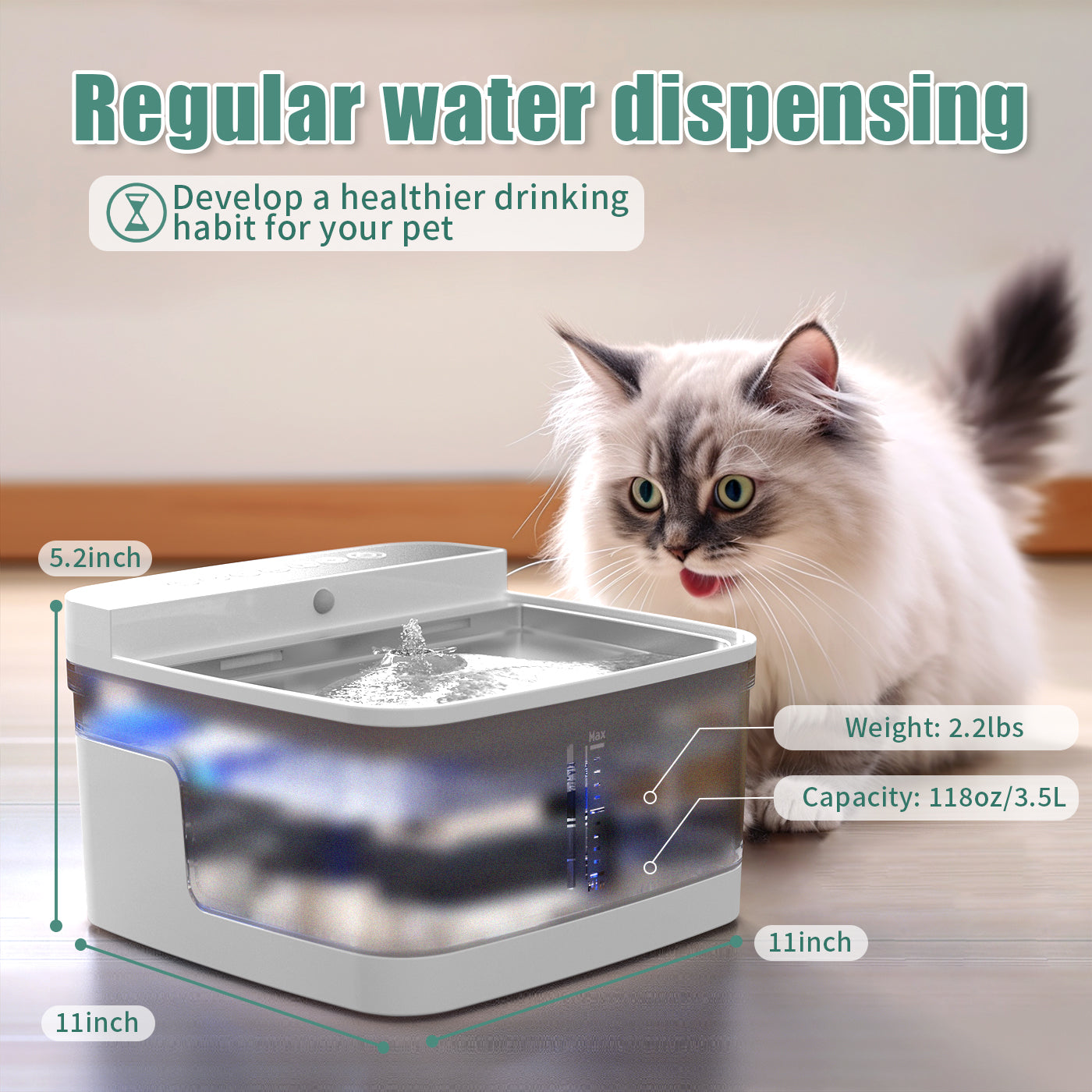 Smart Pet Water Fountain for Cats & Dogs